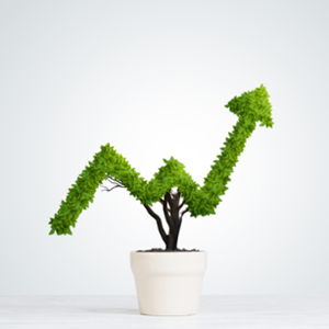 Picture of plant shaped into an arrow pointing upward