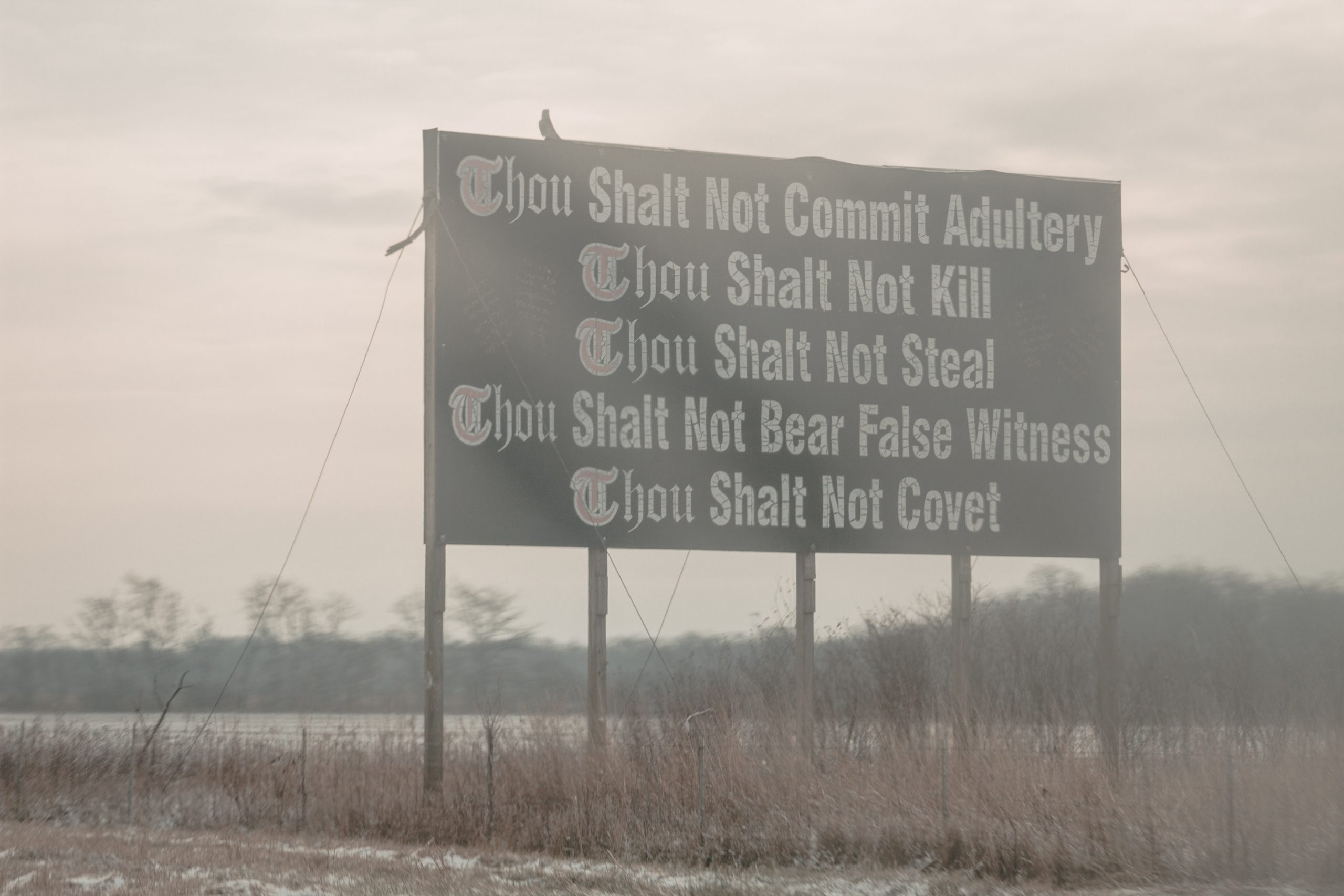 Thou Shalt Steal…?