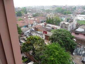 Kolkata's trees