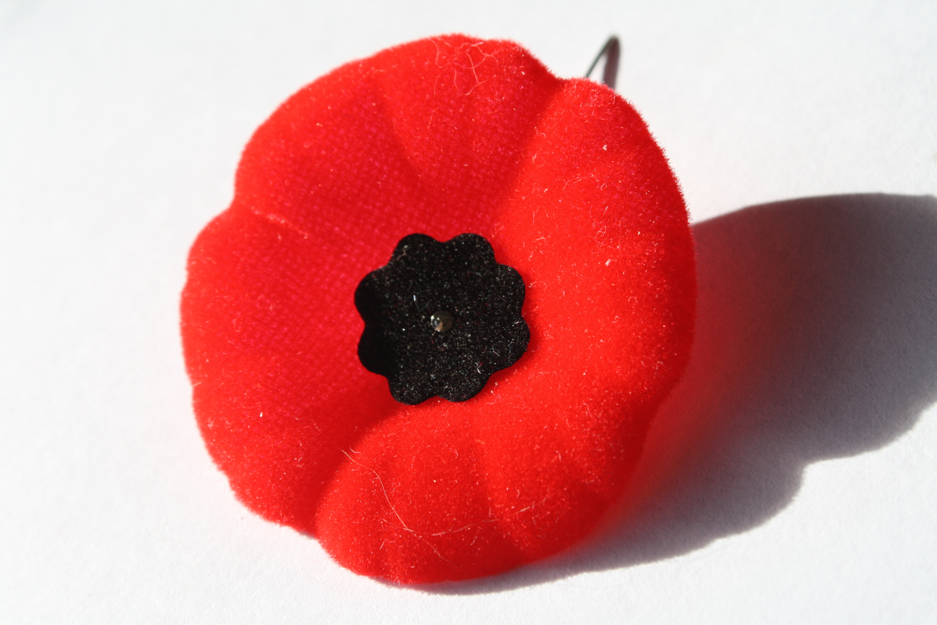 Remembrance Day and Peace