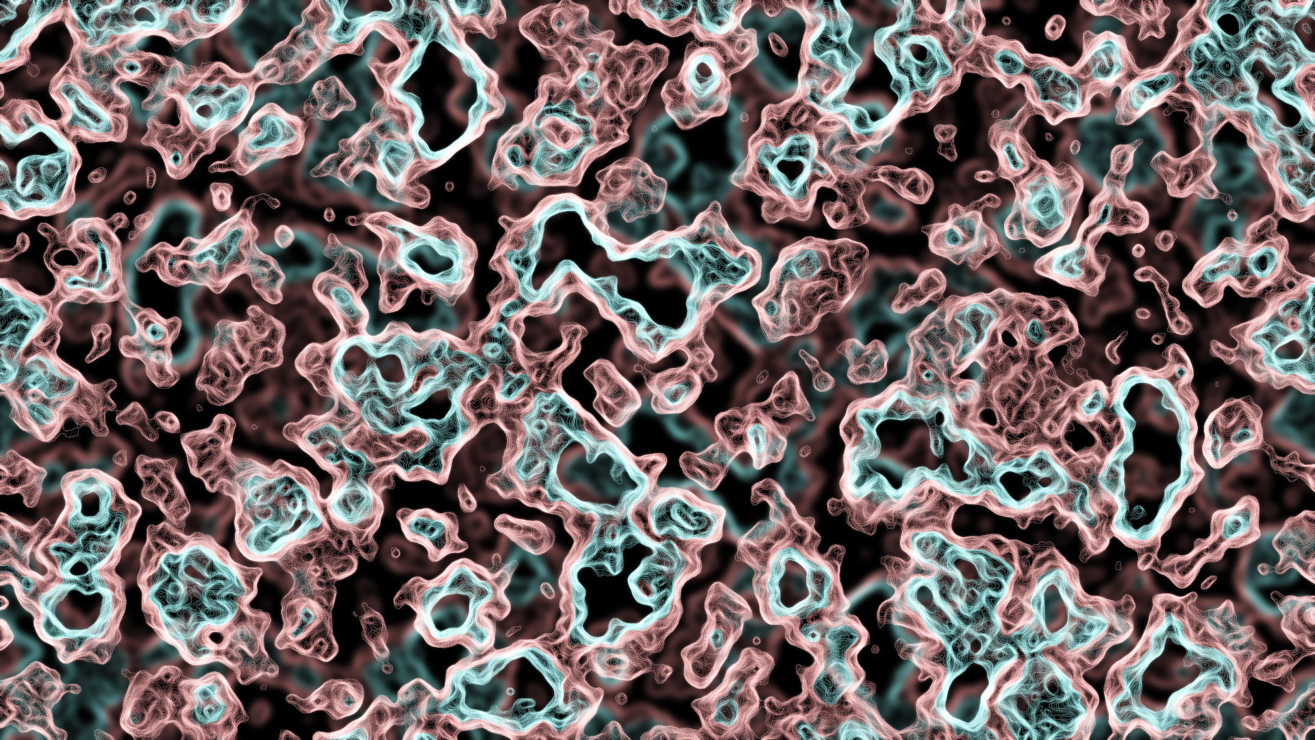 Autoimmune Disease Within the Body of Christ