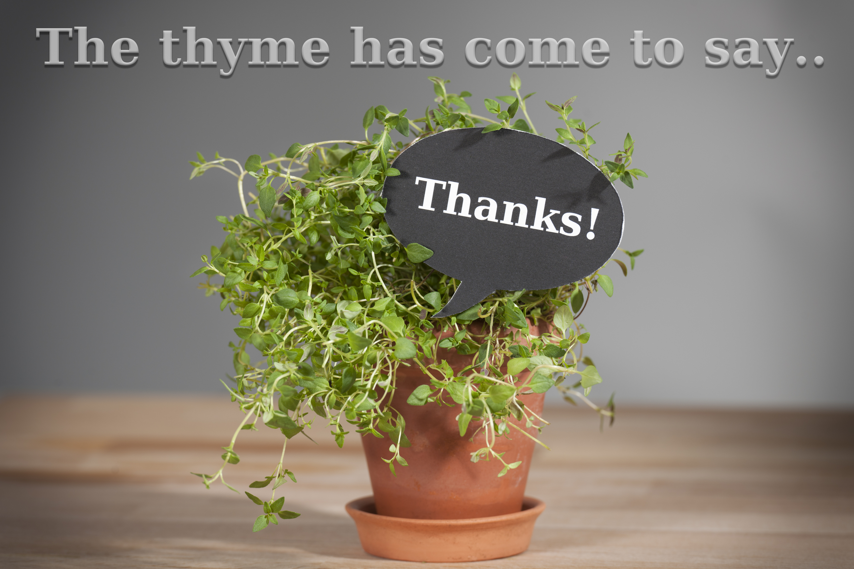 “Thank You” Is More than a Courtesy