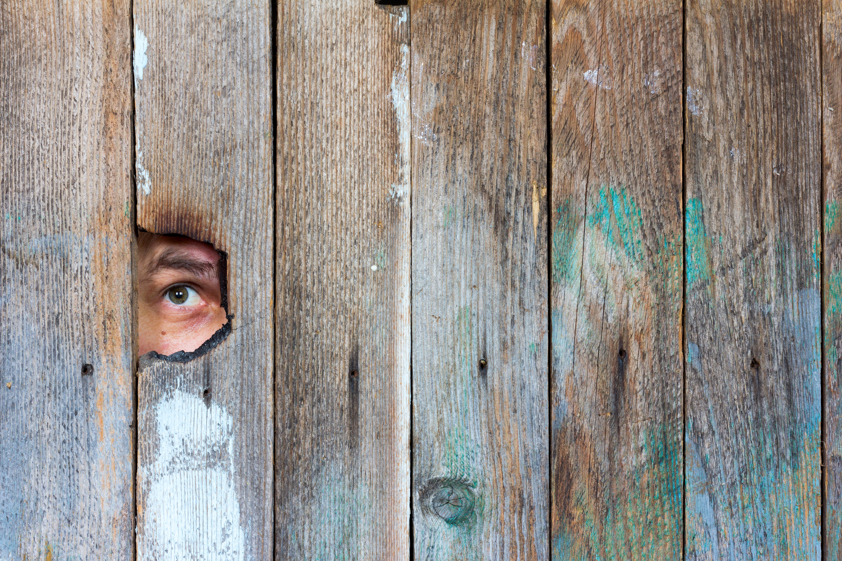 The Plank in Our Own Eye