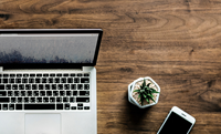 job opportunity  manager  human resources