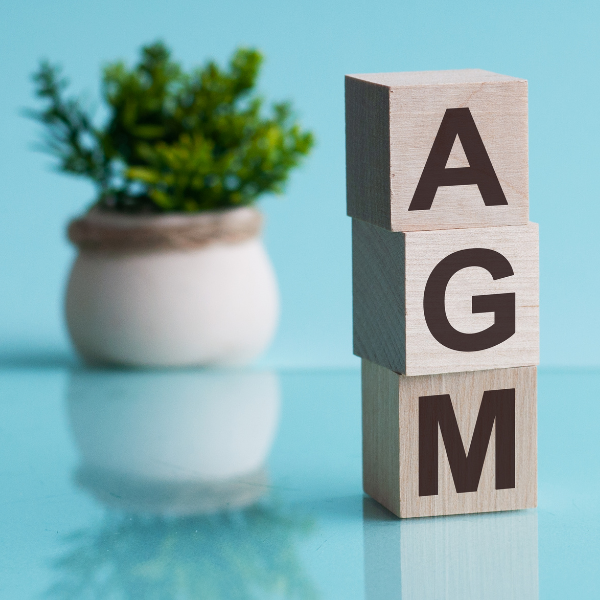 ontario extends flexibility for electronic agms
