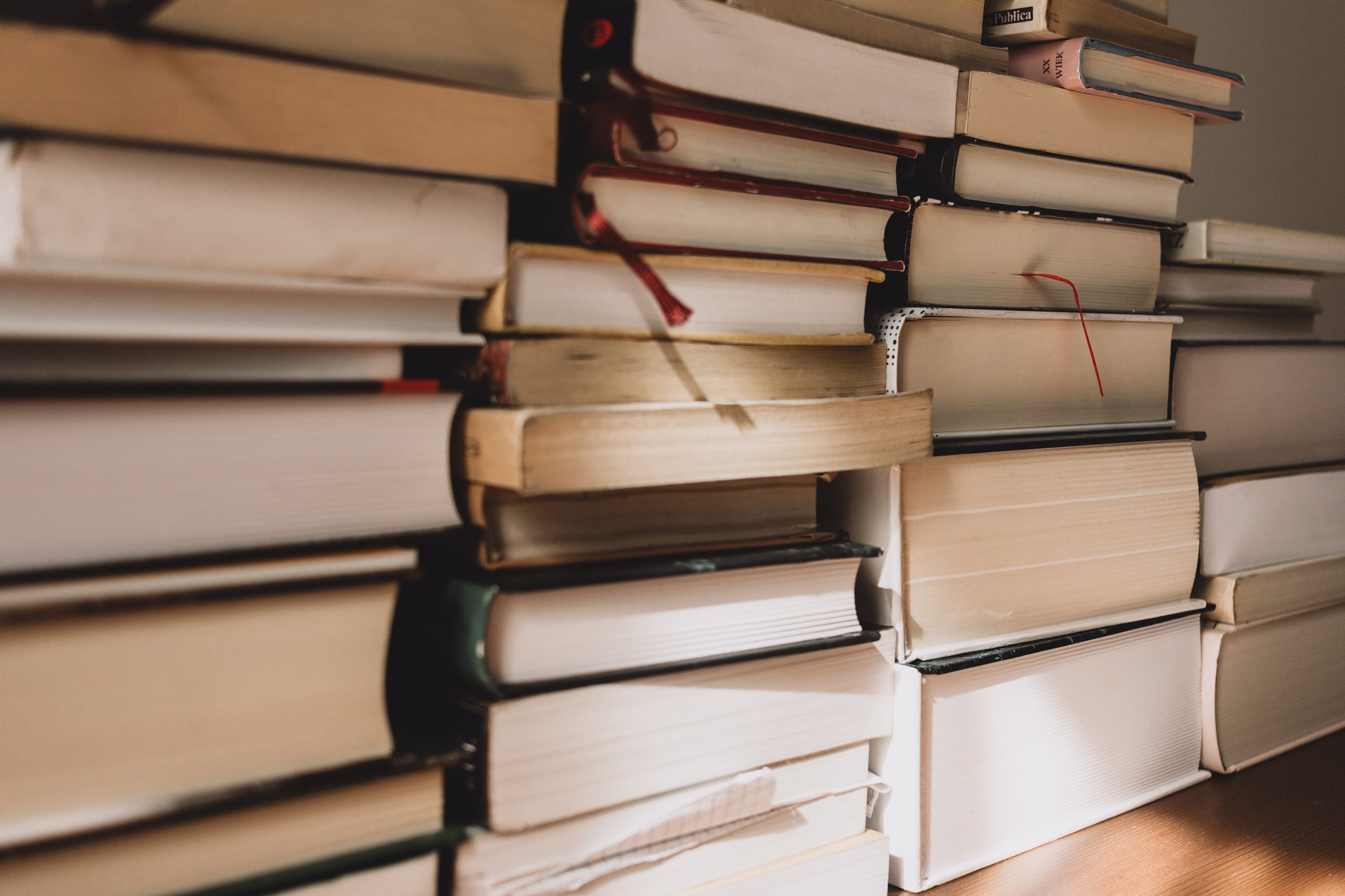 program evaluation 3   literature review