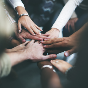 Apply to Join the Advisory Committee on the Charitable Sector!