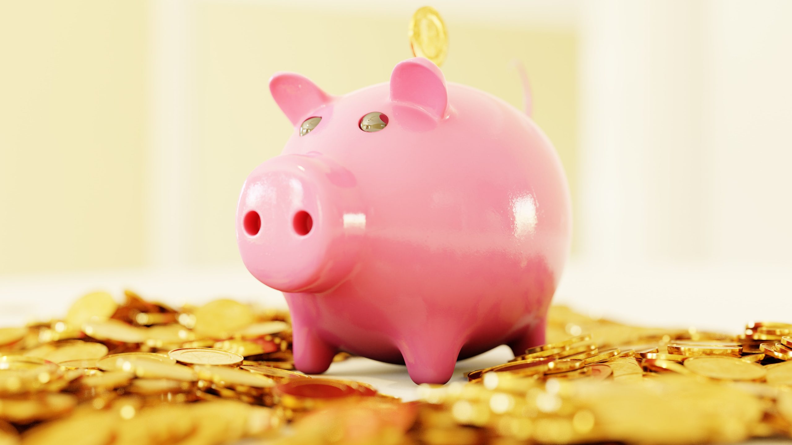 Disbursement Quota Consultation