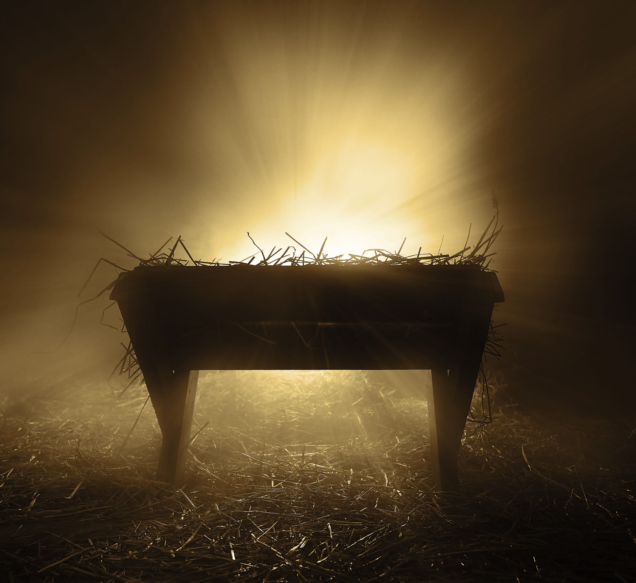 God’s Loving Embrace: Christmas and God with Us