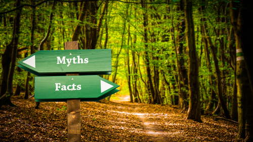 Truth in Storytelling