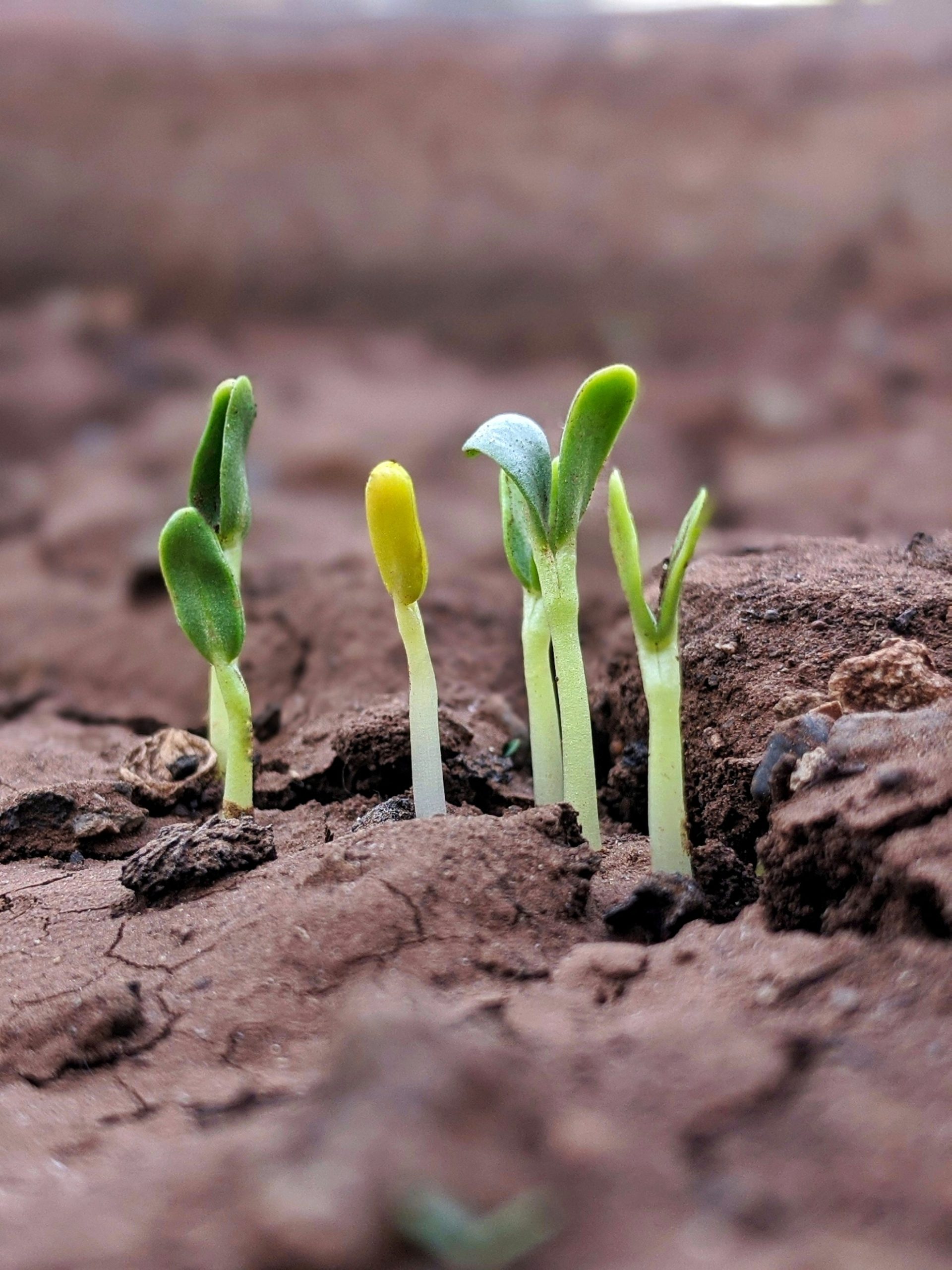 BC Recovery and Resiliency Fund