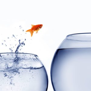 Faith and Risk: Strategic Planning That Will Amaze Jesus!